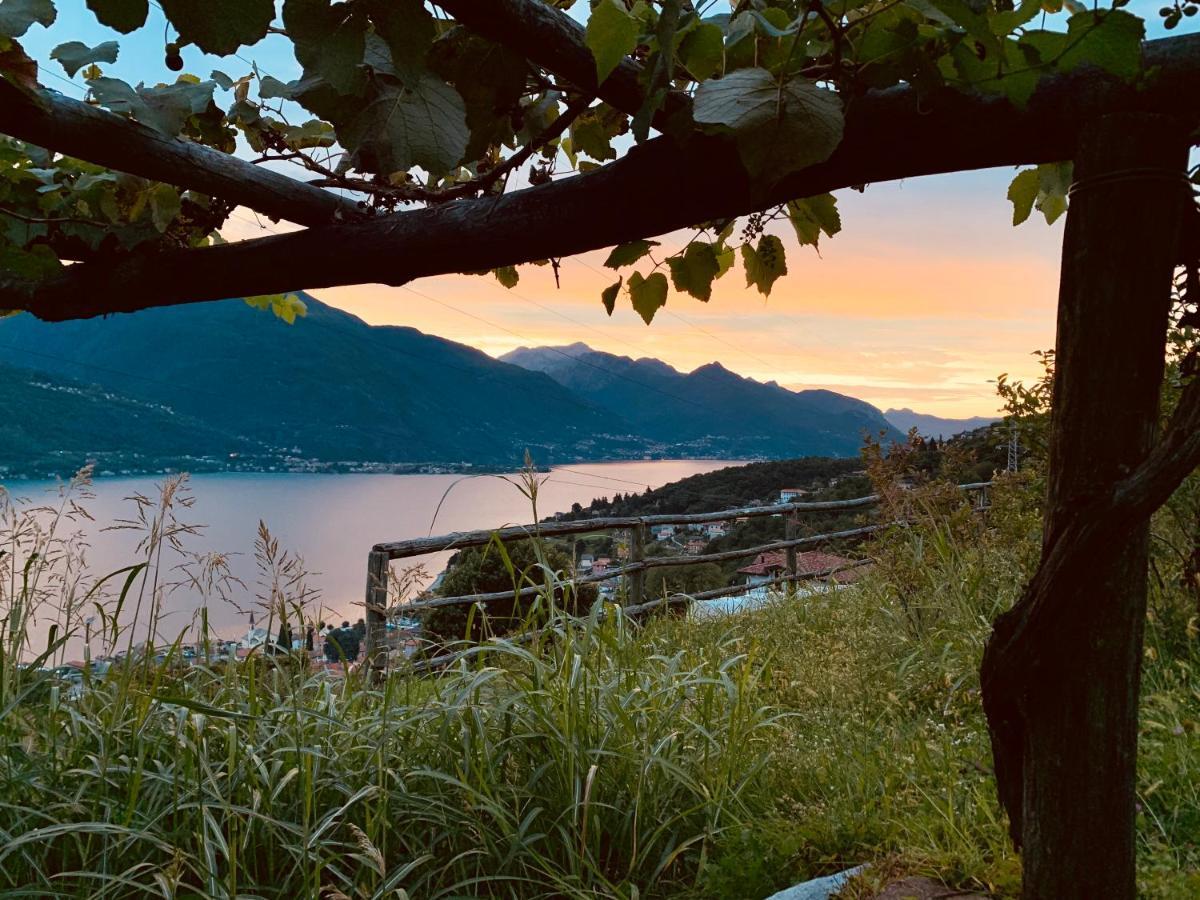 Agriturismo Treterre Pianello Del Lario Exterior photo